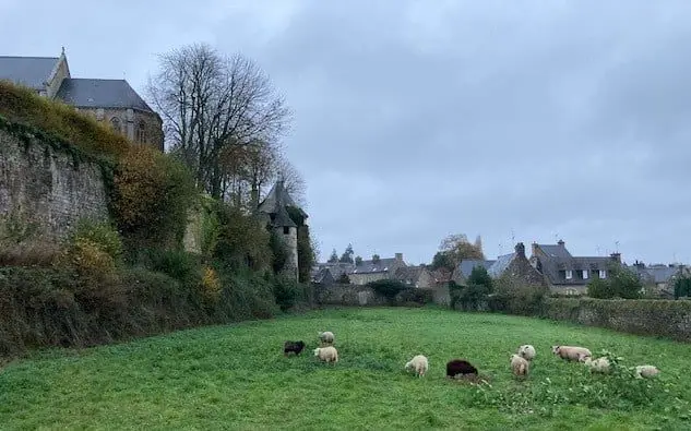 Champ en contrebas du château